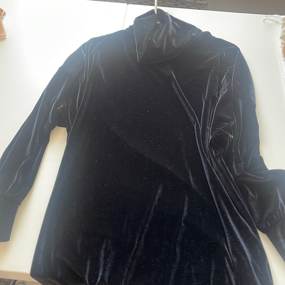 Velvet Turtleneck dress